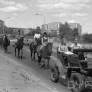 bryczka i jeźdźcy na koniach na ulicy, w głębi osiedle mieszkaniowe