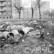 sterty śmieci na trawniku, obok siedzi pies, w głębi drzewa oraz budynki mieszkalne z wielkiej płyty