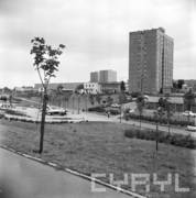 tereny trawiaste i piaszczyste z placem zabaw i samolotem porośnięte wokół drzewami, w tle bloki z wielkiej płyty