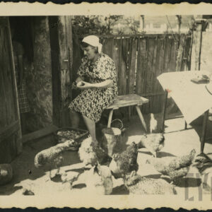 kobieta siedzi na drewnianym taborecie i obiera ziemniaki, przy nogach kobiety metalowe wiadro i kosz, z lewej otwarte drewniane drzwi do budynku, w głębi drewniany płot, dookoła chodzą kury, z prawej drewniany stolik nakryty jasną tkaniną