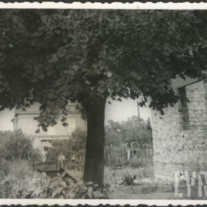 drzewo, z prawej ściana budynku ceglanego w trakcie budowy, w głębi budynek murowany