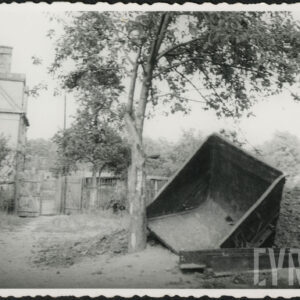 pośrodku drzewo, z lewej fragment murowanego, otynkowanego budynku, przy drzewie z prawej metalowy kontener