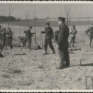 żołnierze sadzą drzewa na pustym terenie