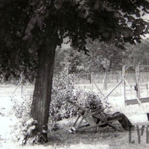 Bokiem stoi leżak, z lewej drzewo, w głębi ogrodzenie z siatki metalowej