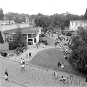 ścieżki spacerowe dookoła pawilonów wystawowych, spacerujący ludzie