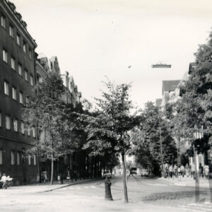 brukowana ulica, obsadzona drzewami, wzdłuż niej kilkupiętrowe kamienice