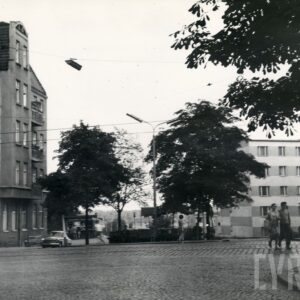 brukowana ulica, obsadzona drzewami, po obu stronach kilkupiętrowe kamienice