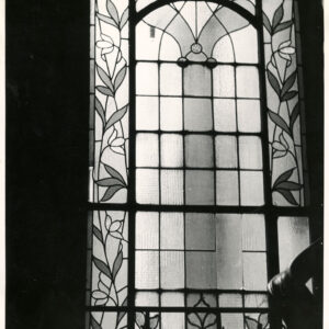 witraż w oknie z motywami roślinnymi