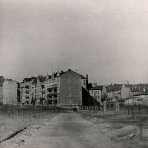 z przodu pole z małymi drzewkami, w głębi, wielopiętrowe kamienice