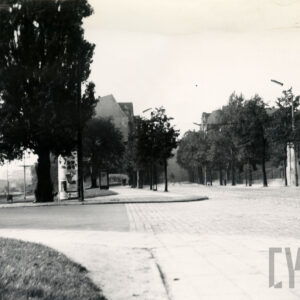 skrzyżowanie dwóch ulic, w głębi drzewa, za nimi widoczne fragmenty budynków