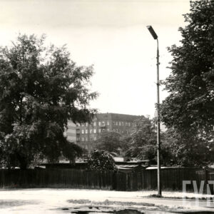 drewniany płot, po obu stronach drzewa, w głębi kilkupiętrowa kamienica