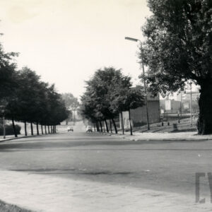 asfaltowa droga obsadzona po obu stronach drzewami, z lewej słup z tablicą z napisem „taxi początek”, przy nim stoi mężczyzna