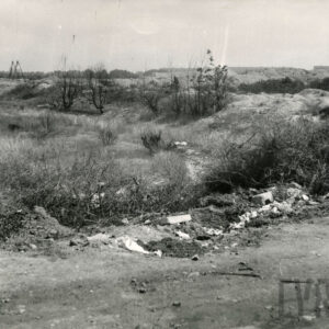 tereny porośnięte krzakami