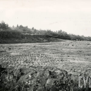 nieużytki, w głębi krzaki