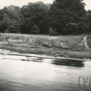 na pierwszym planie asfaltowa droga, w głębi gęste drzewa i krzaki, z prawej fragment skarpy