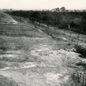 nieużytki, z prawej za ogrodzeniem z metalowej siatki, niskie drzewa owocowe