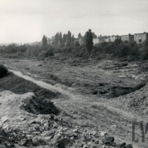 na pierwszym planie nieużytki, w głębi za krzakami i niskimi drzewami jednorodzinne, murowane domy mieszkalne