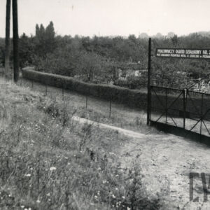 z przodu nieużytki, dalej płot z metalowej siatki z bramą, nad bramą nazwa ogródków