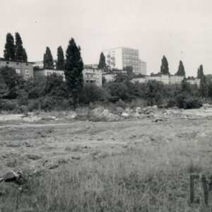 na pierwszym planie nieużytki, w głębi za krzakami jednorodzinne, murowane domy mieszkalne