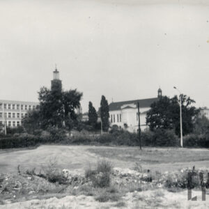 wśród drzew z lewej długi budynek z oknami, nad drzewami wysoka wieża (dzwonnica), obok niej budynek kościoła