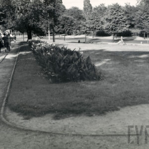 trawnik, pośrodku pas kwiatów, w głębi drzewa, z lewej spacerują ludzie