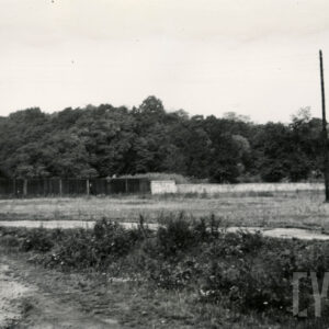 na pierwszym planie nieużytki, w głębi niskie ogrodzenie, z lewej drewniane, z prawej murowane, za nim drzewa