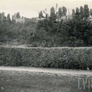 w głębi za żywopłotem i niskimi drzewkami jednorodzinne, murowane domy mieszkalne