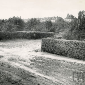 na pierwszym planie nieużytki, w głębi żywopłot o ogrody z niskimi drzewkami, za nimi domy mieszkalne w zabudowie szeregowej