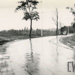 asfaltowa droga, przy niej rośnie kilka drzew, w oddali samochód osobowy, z lewej betonowy słup linii elektrycznej