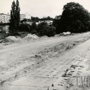 gruntowa droga, wzdłuż niej wyłożone betonowe płyty, w głębi kępy drzew i krzaków, za nimi murowane budynki