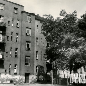 pięciokondygnacyjny otynkowany budynek, z prawej drzewo