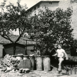 podwórze z garażami, blaszanymi pojemnikami na śmieci, obok nich stos gruzu, pośrodku rośnie drzewo