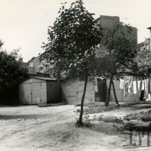 podwórze z niskimi drzewkami, w głębi blaszane garaże, z prawej na sznurku wisi pranie