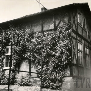 dwukondygnacyjny budynek drewniano-ceglany opleciony rośliną