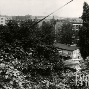 na pierwszym lanie korony drzew, między nimi fragmenty budynków mieszkalnych