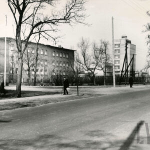 kilkukondygnacyjny budynek, na pierwszym planie asfaltowa ulica obsadzona drzewami