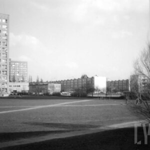 teren zielony otoczony blokami z wielkiej płyty