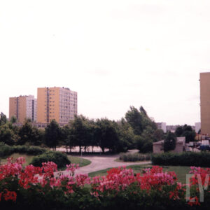 ukwiecony trawnik ze ścieżkami spacerowymi, w głębi drzewa i wysokie bloki