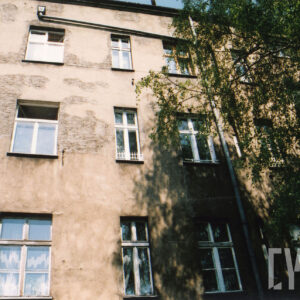 fragment ściany kamienicy z oknami, z prawej fragment drzewa