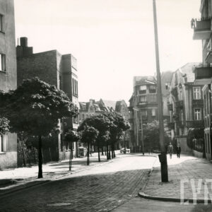 brukowana ulica, po obu jej stronach kilkukondygnacyjne budynki, z lewej wzdłuż chodnika drzewa