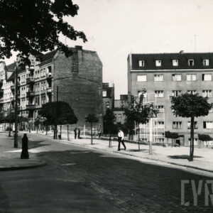 brukowana ulica, w głębi kilkukondygnacyjne kamienice, wzdłuż chodnika drzewa