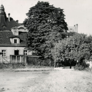 na pierwszym planie nieużytek, w głębi drzewa, za nimi budynki