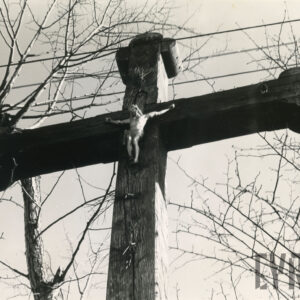 górny fragment drewnianego krzyża z przytwierdzoną figurką Jezusa na tle gałęzi drzew