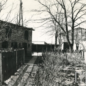 fragment zarośniętego krzakami podwórza, po lewej drewniany płot i fragment ceglanych zabudowań gospodarczych, w głębi drzewo, za nim fragment szachulcowej stodoły