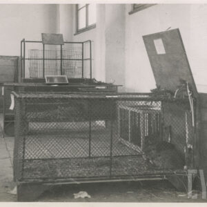 na pierwszym planie klatka drewniano-metalowa zw zwierzętami w pawilonie wystawowym