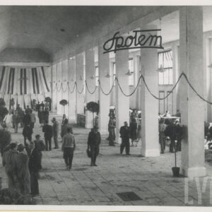 duża hala, pod ścianą, z prawej wystawione krowy, środkiem spacerują ludzie