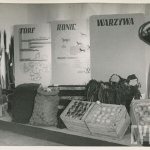 stoisko wystawowe ze skrzyniami drewnianymi i workami