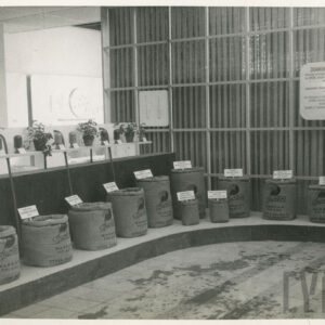 stoisko wystawowe z workami