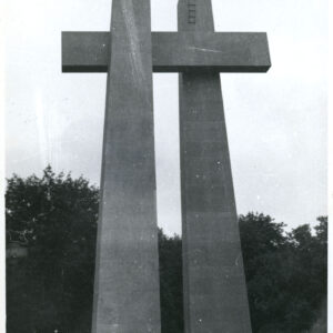 stalowe krzyże na tle drzew