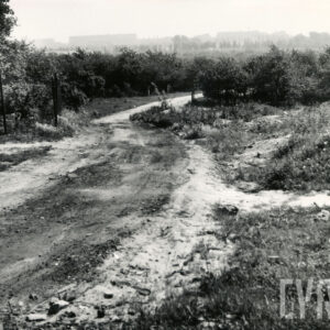 nieużytki, w głębi krzaki